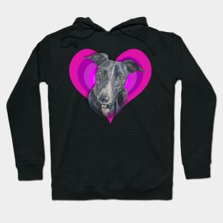 Stunning whippet painting on a rainbow heart! Hoodie